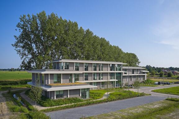 New Nexus, Haren